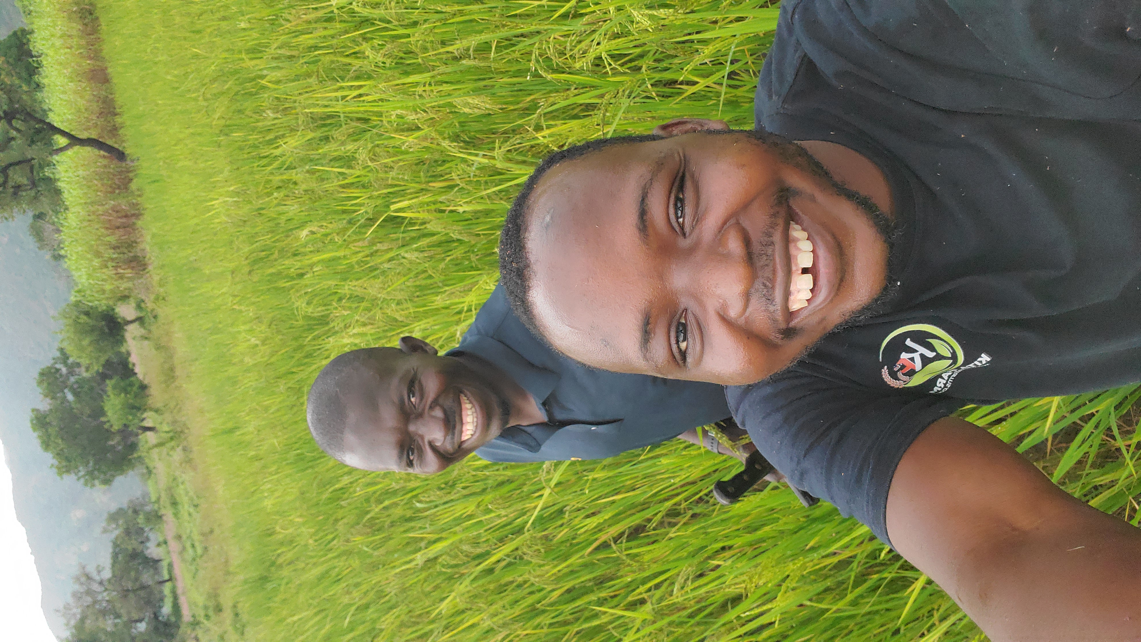 Packaging grains for distribution